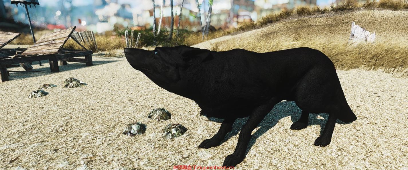 辐射4MOD：Dogmeat黑牧羊犬 网盘下载