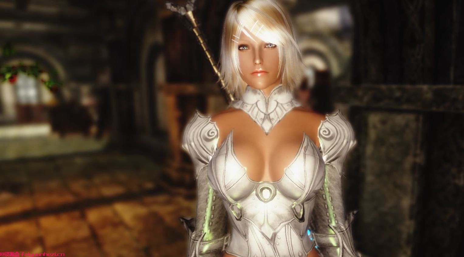 上古卷轴5天际MOD：上古卷轴5：天际 愛莎辛斯主体v2.0 可选6种职业MOD 网盘下载