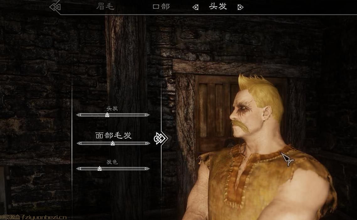 上古卷轴5天际MOD：上古卷轴5：天际 不一样的人生汉化版v2#1#3 网盘下载