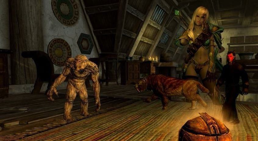 上古卷轴5天际MOD：上古卷轴5：天际 口袋守护者 汉化版MOD 网盘下载