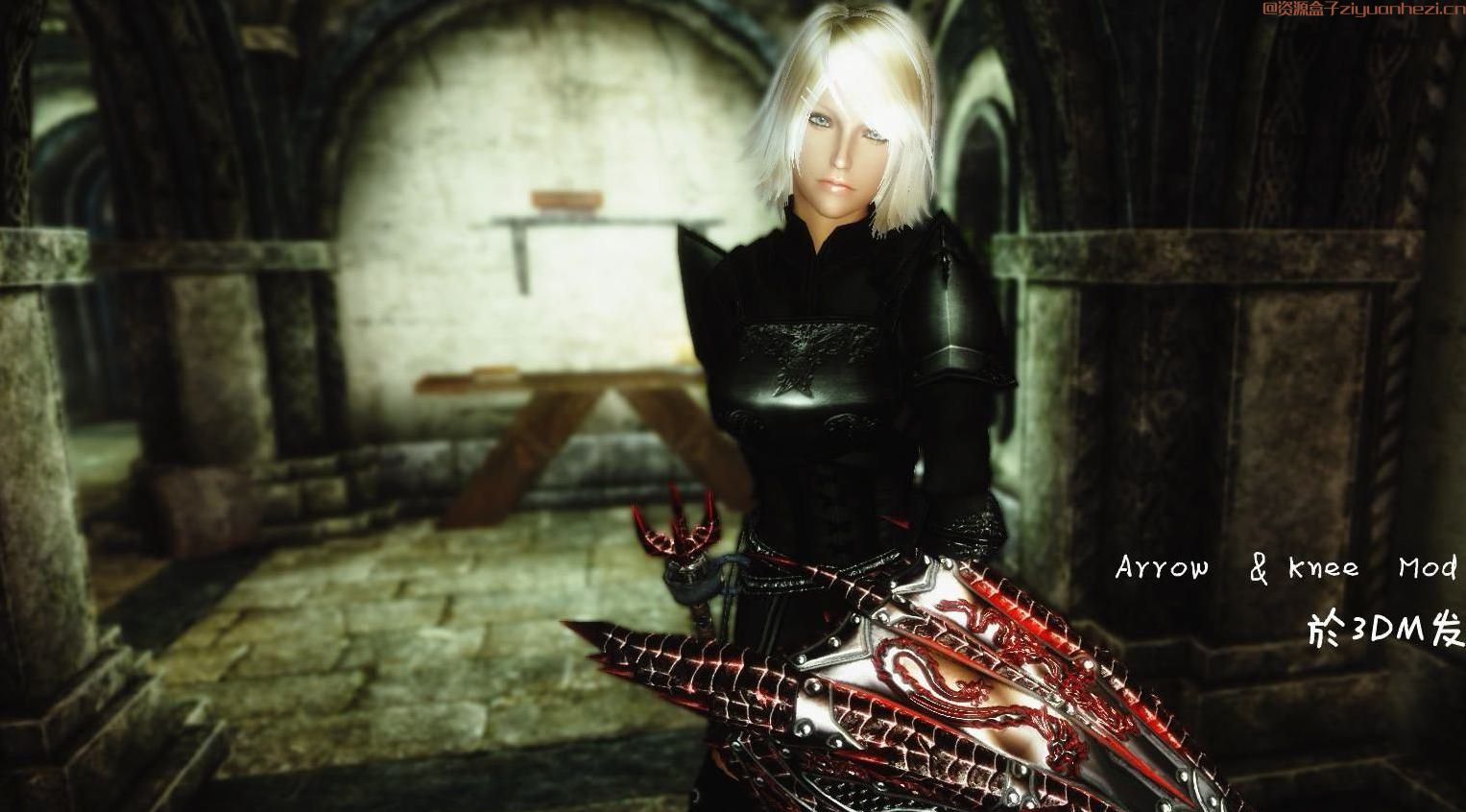 上古卷轴5天际MOD：上古卷轴5：天际 愛莎辛斯主体+简繁汉化MOD 网盘下载